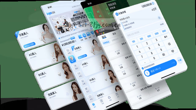 FJY版登录入口稳定性保障
